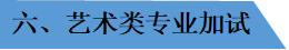 六、艺术类专业加试